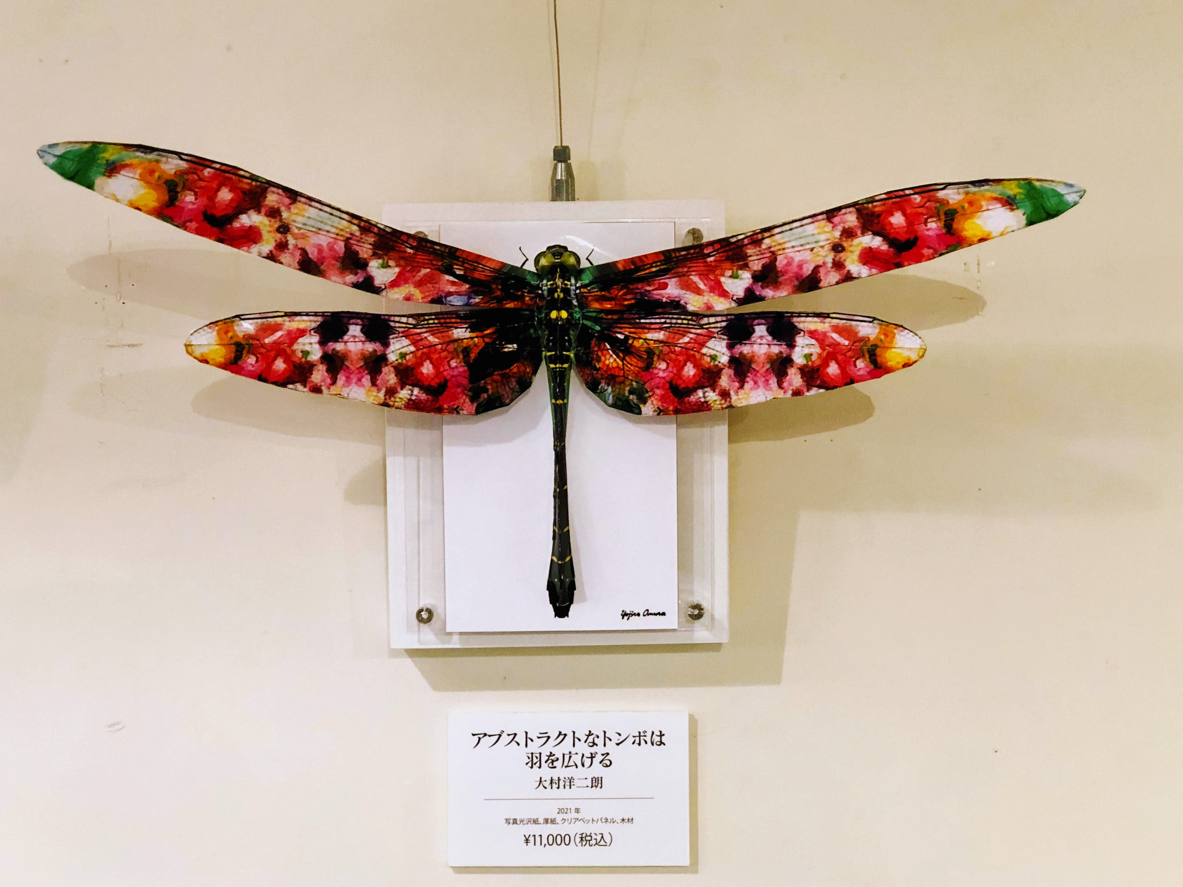 DELUXE スノーボード 昆虫デザイン