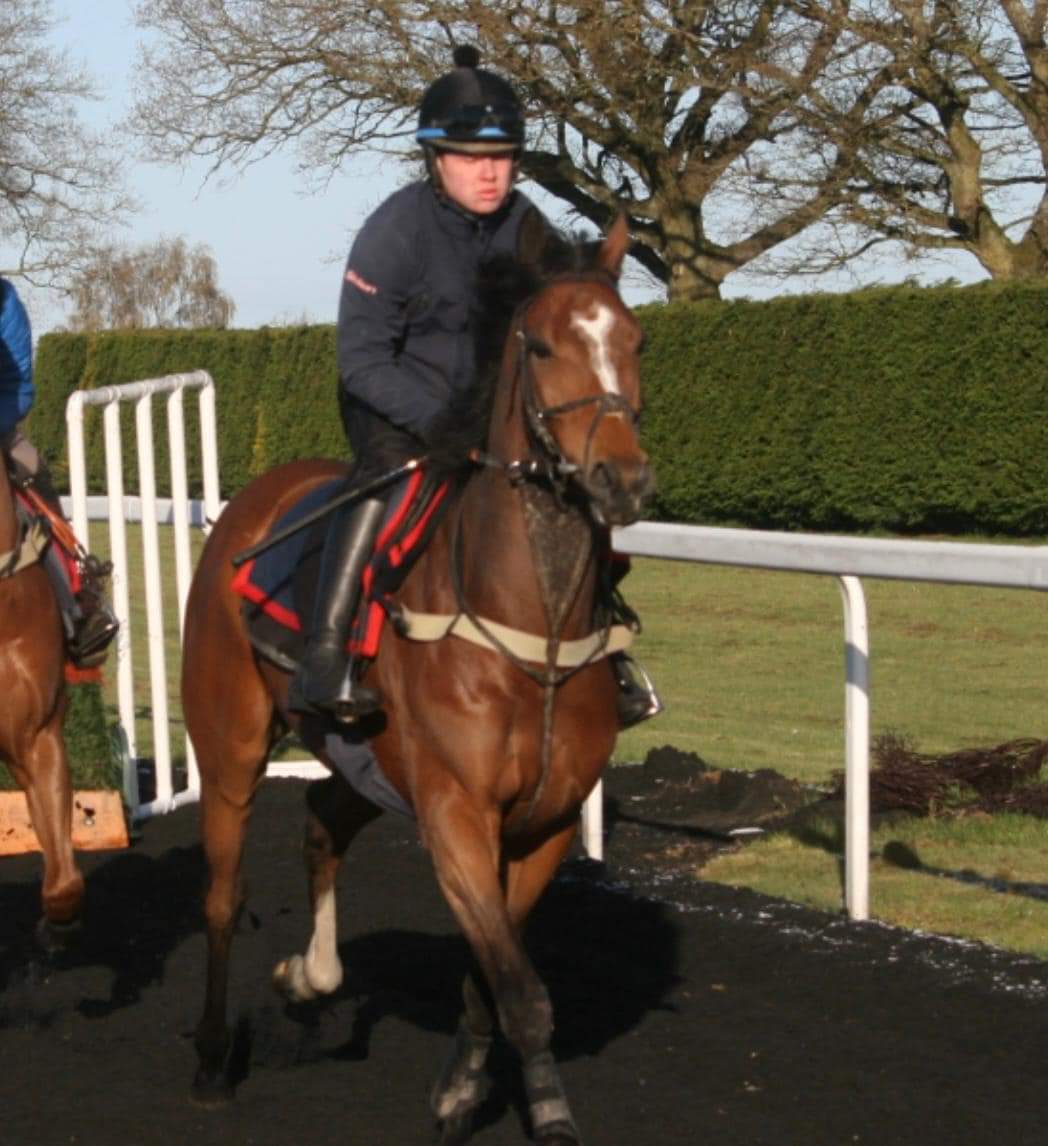 golden_equinox_'s tweet photo. #Dynali trained by @ianwilliamsraci and ridden by @DougieCostello runs in the 4.55 @NottsRacecourse today
We still have shares available 👇
https://t.co/IH4yjnW9Xs https://t.co/BF76d72Qlk