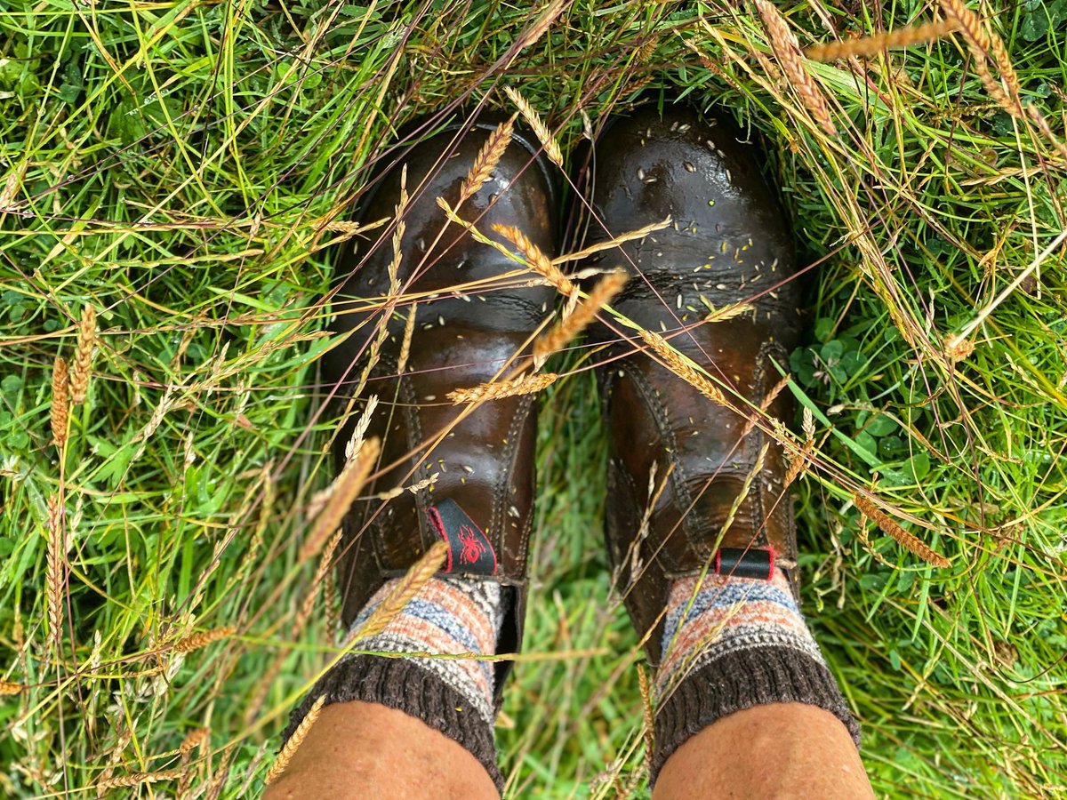 woolismybread's tweet photo. Fair isle wool socks 🧦 back on. #wool #woolsock #shepherdess https://t.co/j4KzsNUvVQ