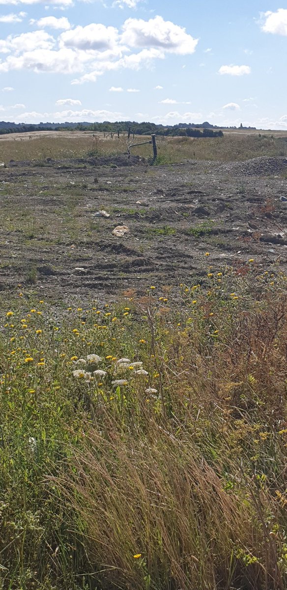 PershoreDan's tweet photo. Massive thank you to the waste team for showing me round the landfill today. One of the perks of being the councillor for your county landfill &amp; being a geologist, you get to see the engineering you teach in action! https://t.co/mX9kRlcyNR