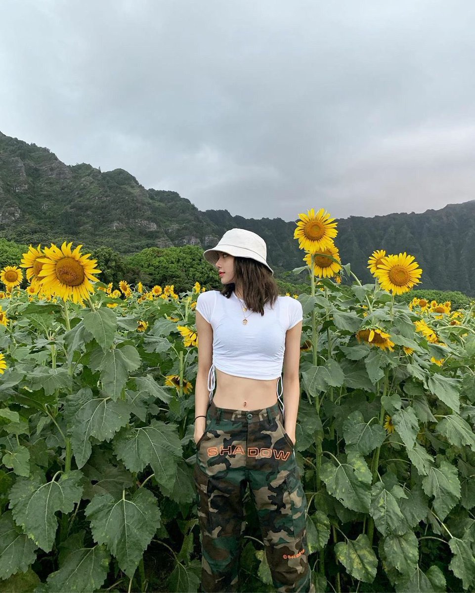 cloudyysummer's tweet photo. SNS UPDATED
📸: @horroraesthetic @D4VILSPARDA
(📍) O’Sulloc Tea Field
🗓290722
What a beautiful cooler day to spend looking around the pretty fields. We found some sunflowers 🌻 ☺️
#rosewoodxjeju #rosewoodent https://t.co/aDBM9VvTQ3