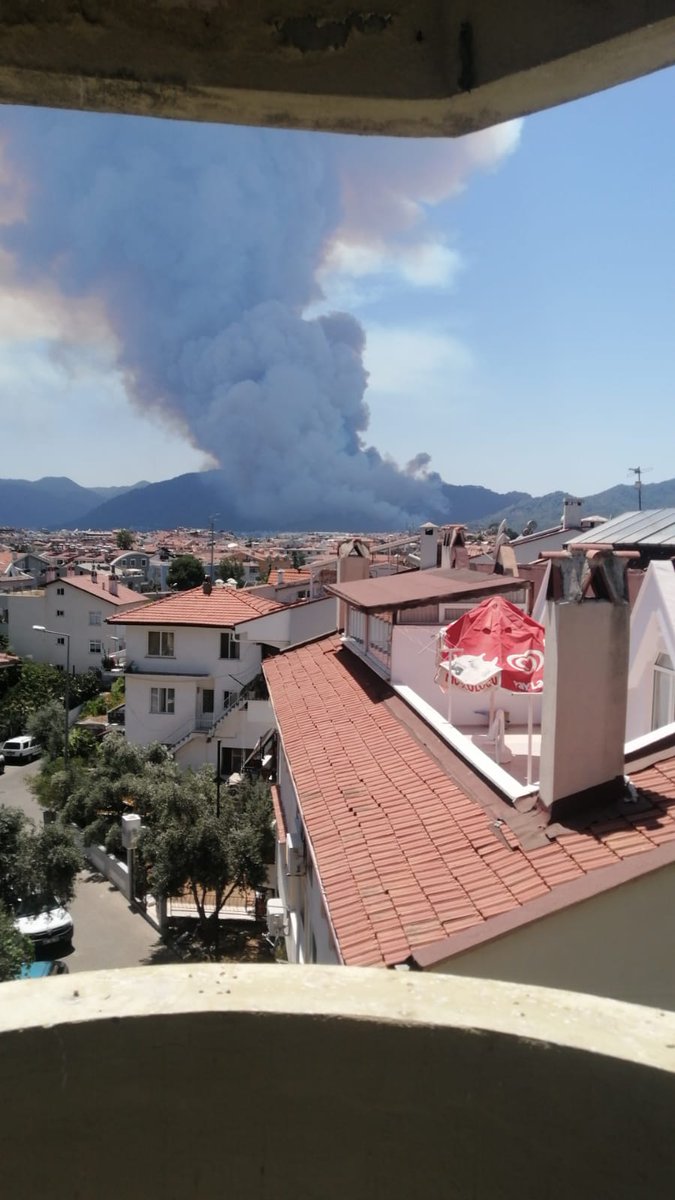 straygirllll's tweet photo. Muğla Marmaris'te de yangın çıktı. Yakıyorlar. Bilerek yakıyorlar. Allah bunu yapanları cayır cayır öldürsün. #manavgatyanıyor https://t.co/Y9Nyh3Expw