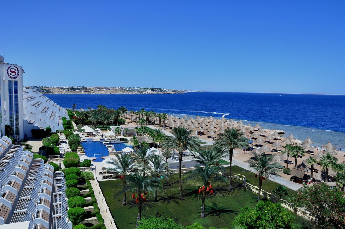 Sheraton_Sharm's tweet photo. Retreat into a beautiful safe haven ..
#sheraton #sheratonsharm #summer #holiday #travel #photography #explore #sharmelsheikh https://t.co/HAvV6Hilvf