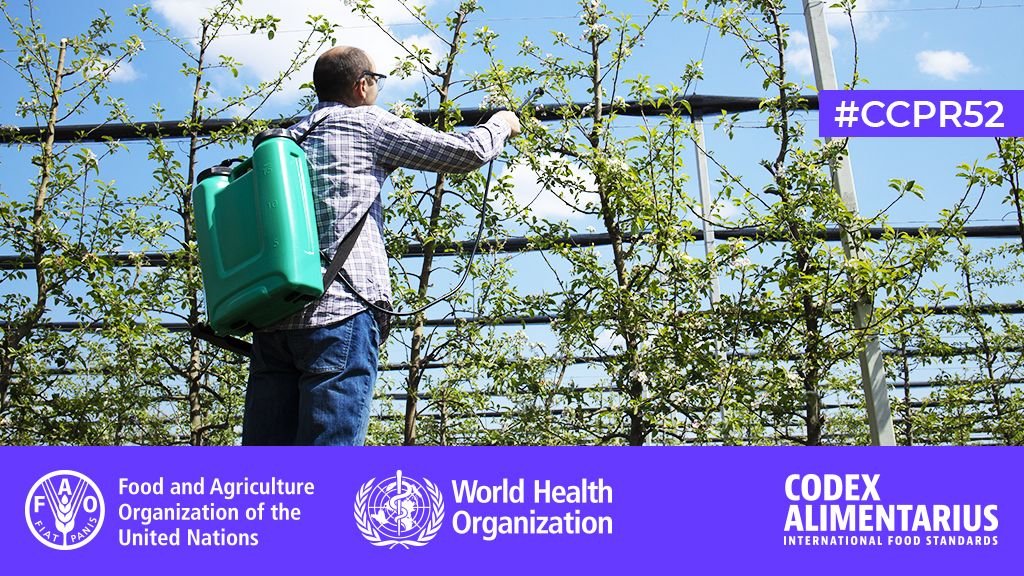 FAOWHOCodex's tweet photo. ποΈ | Day 4β£ at #CCPR52. On today's agenda:
πΈ Revision of the Classification of Food and Feed
πΈ Guidelines for compounds of low public health concerns
πΈ 3β£ discussion papers
ββΉοΈβ‘οΈ https://t.co/hHxsFc2LcQ
#FoodSafety | #FoodTrade https://t.co/fMBtl8EpEM
