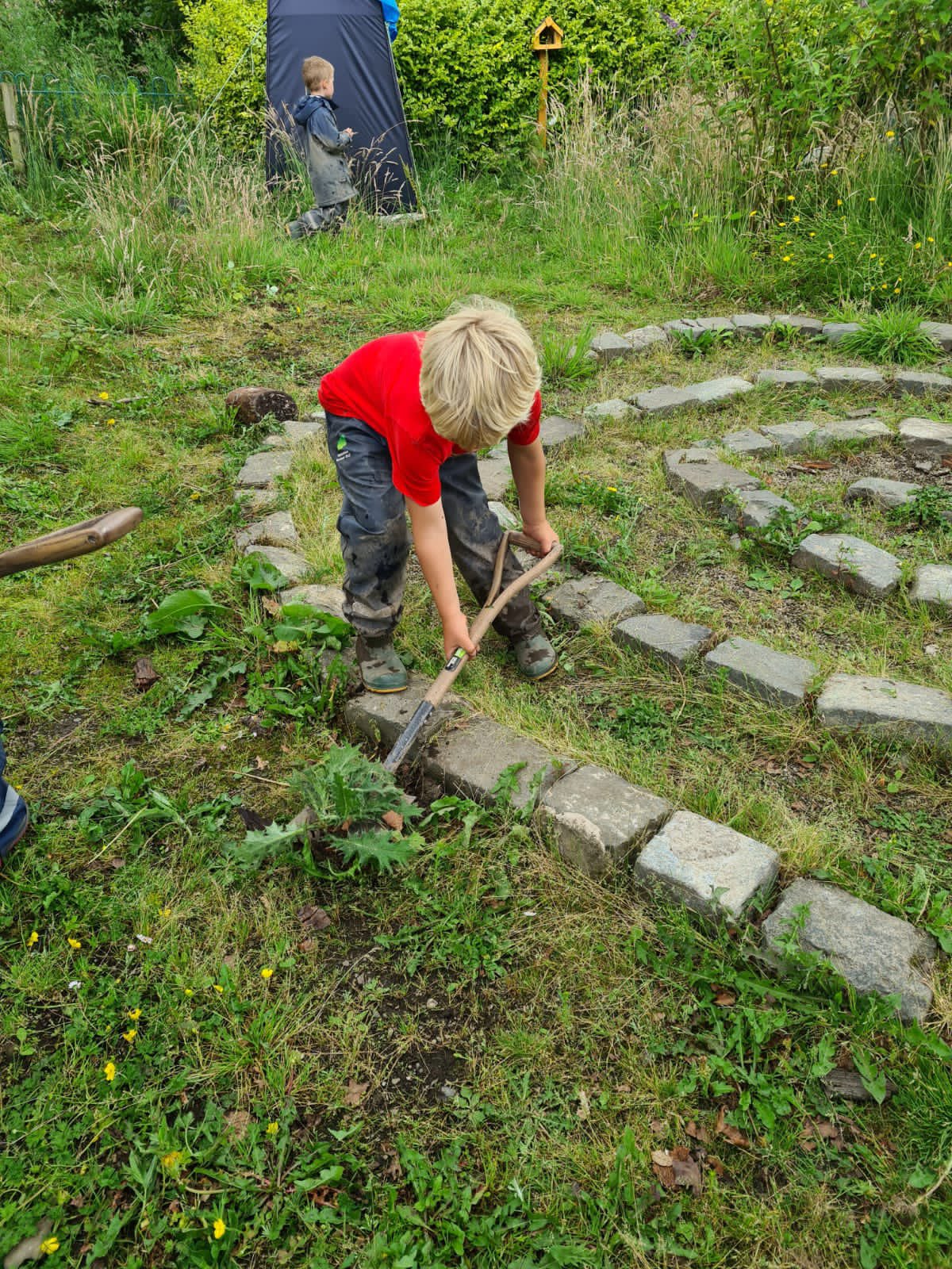 Midlothian Outdoor ELC Team on Twitter "Involving our children in