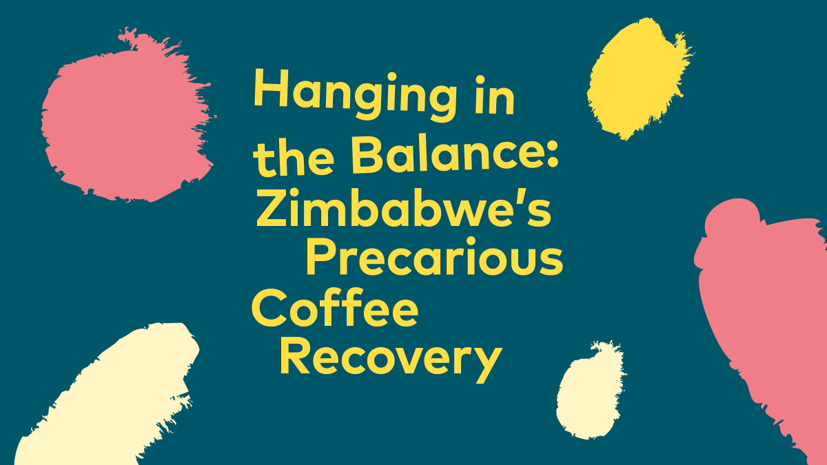 SpecialtyCoffee's tweet photo. 📖: "Historically, Zimbabwe’s coffee plantations have been a prism through which the unequal patterns of land ownership in the country can be viewed." https://t.co/hfEcIt9Ysn #25Magazine https://t.co/0tkU0nmqeY