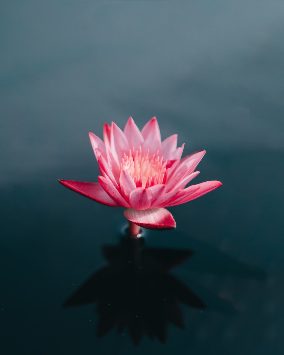 MpaulNithin's tweet photo. Failures are stepping stones to SUCCESS. 

#Philosophy #positivevibes 
#positivity #wisdom https://t.co/Bsx7qM7urT