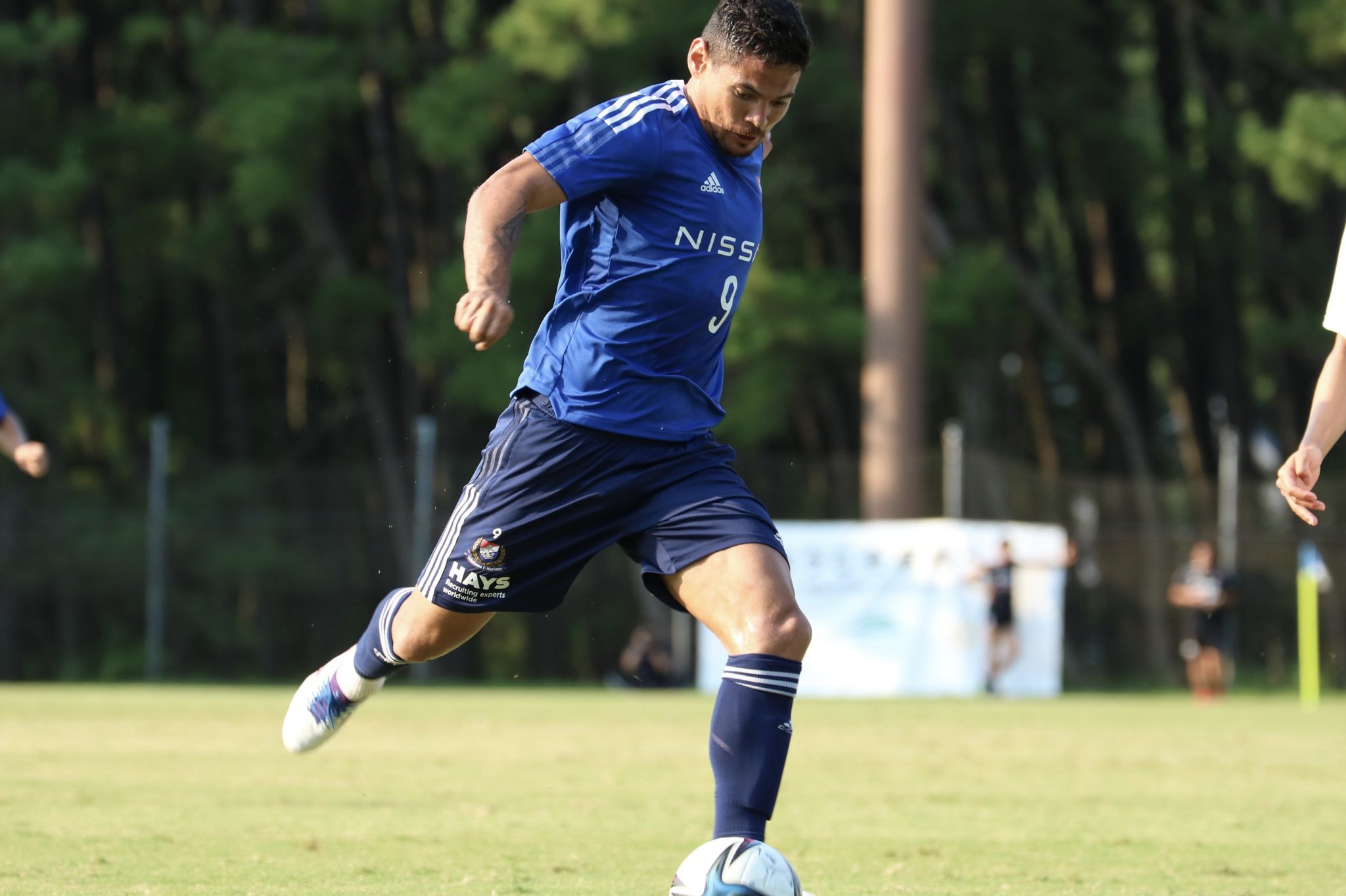 横浜f マリノス 公式 本日行われた練習試合の結果 横浜f マリノス 5 1 テゲバジャーロ宮崎 T Co Ovlgin45gs Fmarinos 宮崎キャンプ T Co Upqajylb57 Twitter