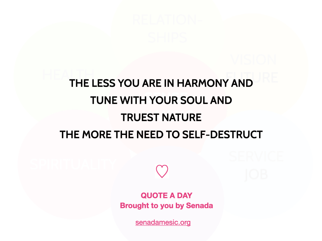 SenMes's tweet photo. #quoteday https://t.co/KsdK3zBcAi