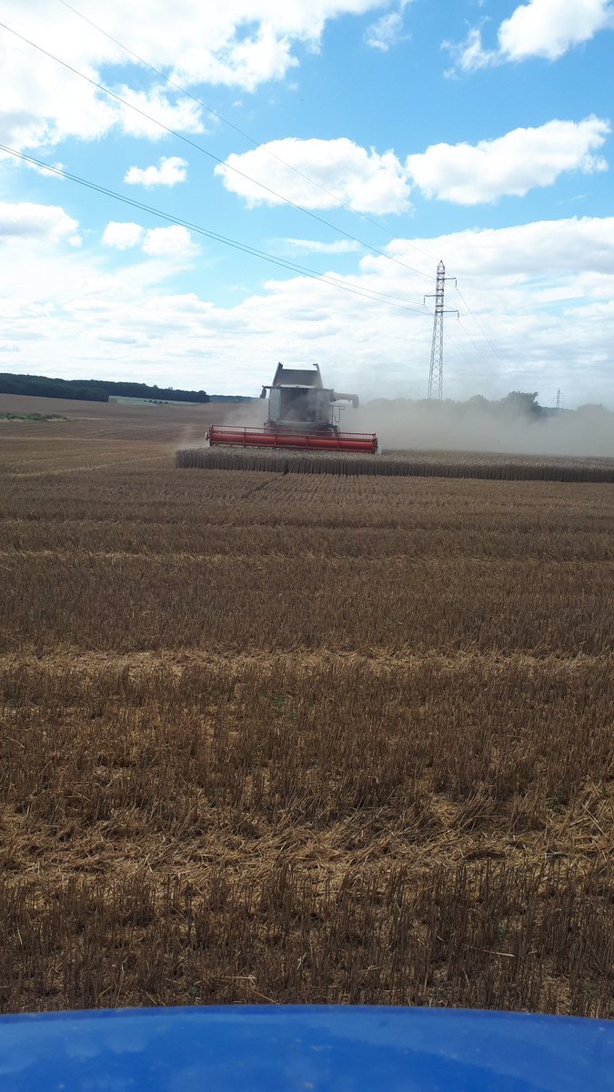 ArnaudRondeau's tweet photo. #moisson2021 #Yonne reprise cet après-midi... pour normalement finir ce soir😊. Dernières bennes à emmener au silo pour moi 🤓 #DerDesDer avant de nouvelles aventures https://t.co/rSCo2a8Tlz