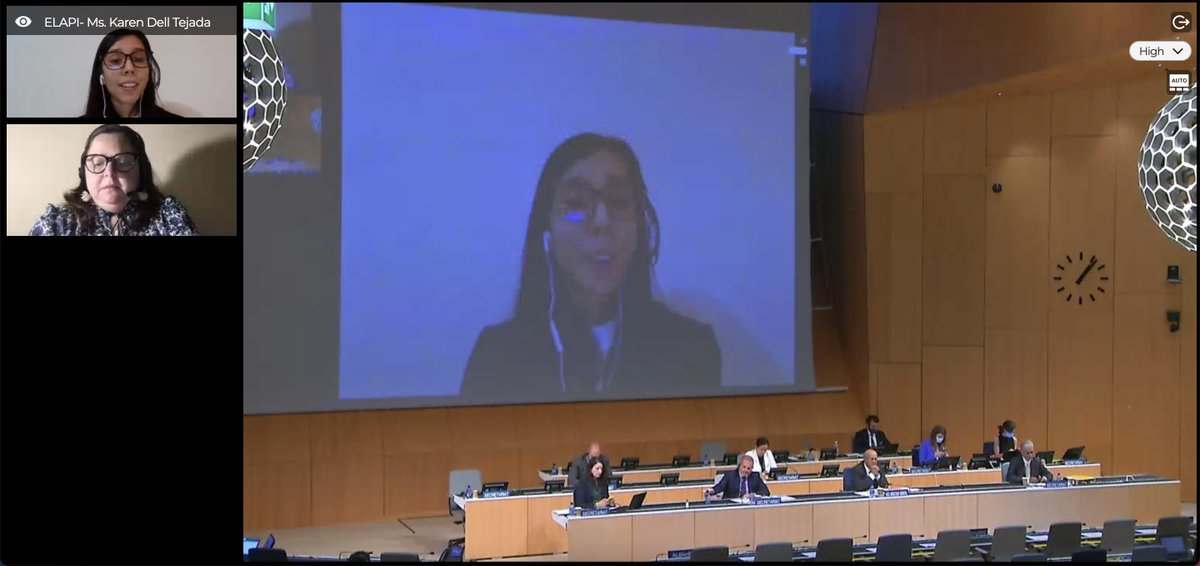 SomosELAPI's tweet photo. Nuestra jefa de delegación para el #CDIP26, de @WIPO, @KarenDellT tomó la palabra para dar nuestra postura sobre Mujeres y #PropiedadIntelectual que se aborda en la agenda del comité #ELAPIenCDIP #SomosELAPI https://t.co/Bond3puze5
