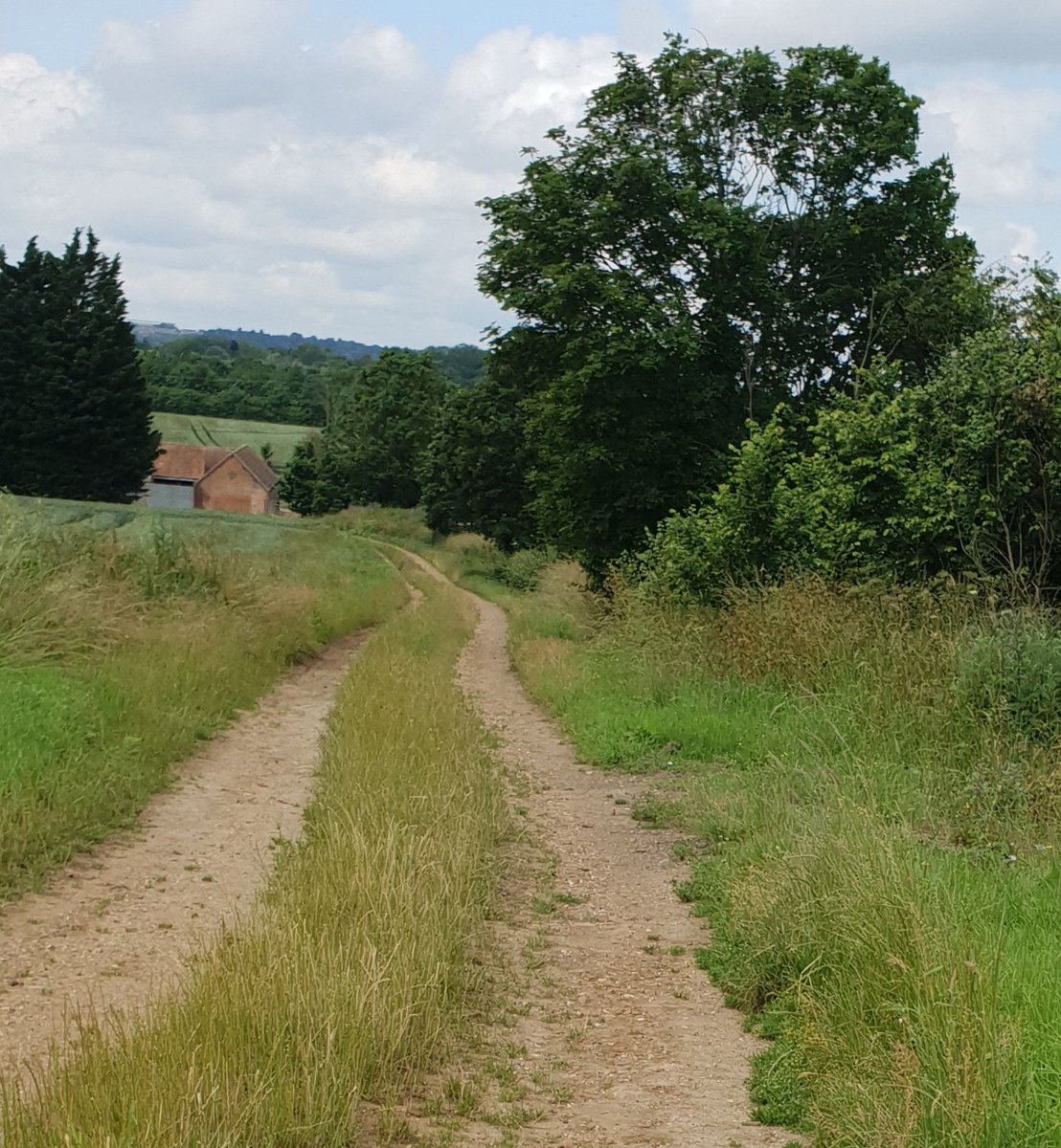 JACK BovverBoy 🐕 tweet media