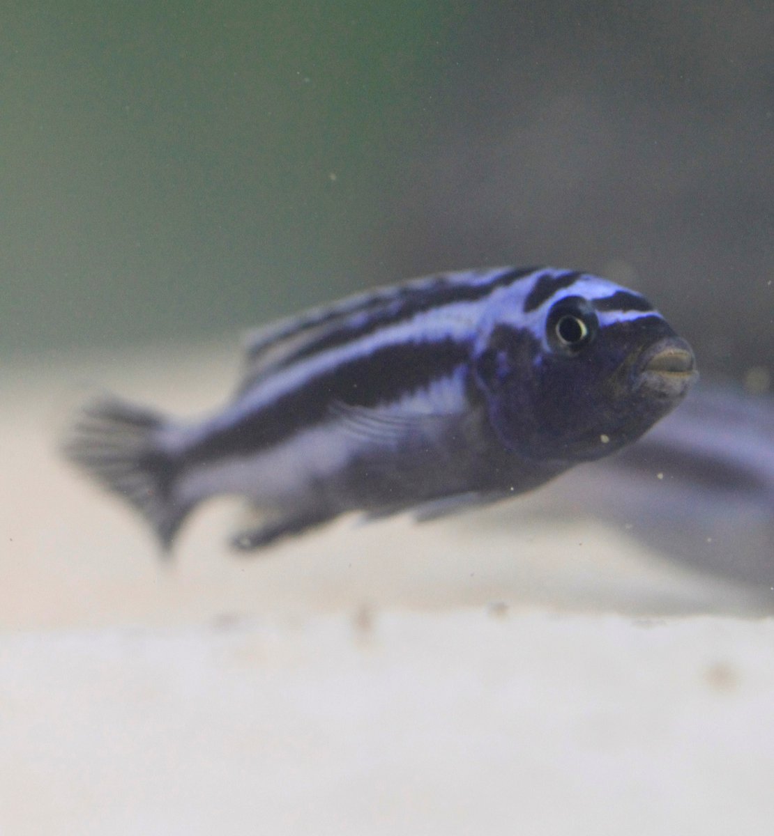 Jan Gerwin tweet media