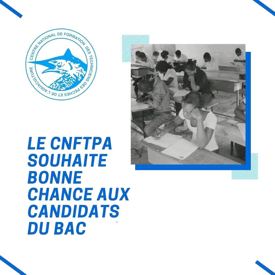cnftpa Sénégal tweet media