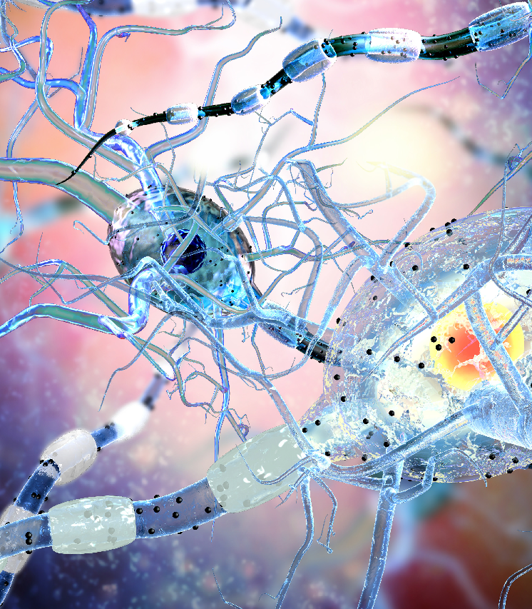 scientia_social's tweet photo. Deep brain stimulation is an increasingly popular treatment for abnormal #brain circuits found in #epilepsy, #Parkinsons disease, and several other #diseases. #Researchers @Sunnybrook are working to make this procedure safer. Read more: https://t.co/gMfJRize4c #neurology #scicomm https://t.co/Bx1rymq8vD