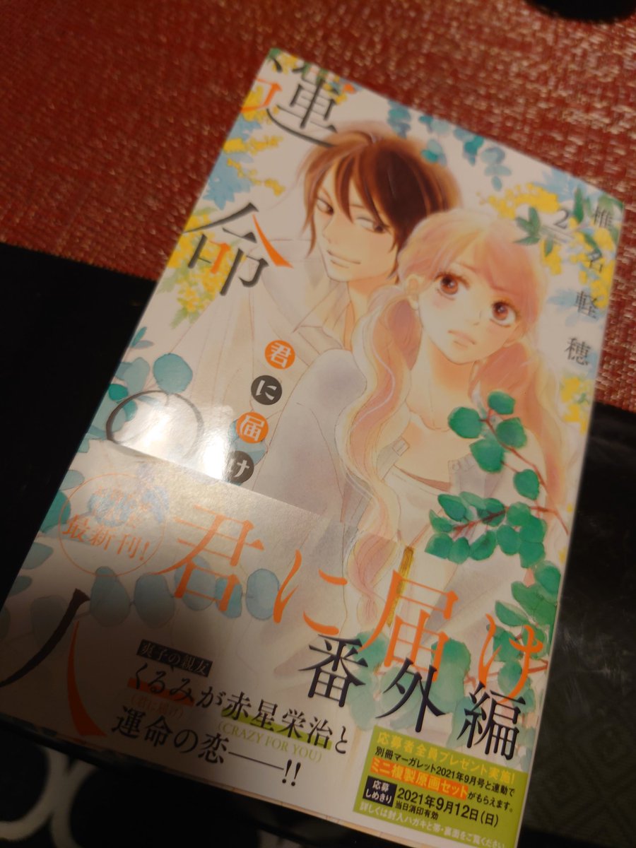 君に届け番外編 君に届け番外編