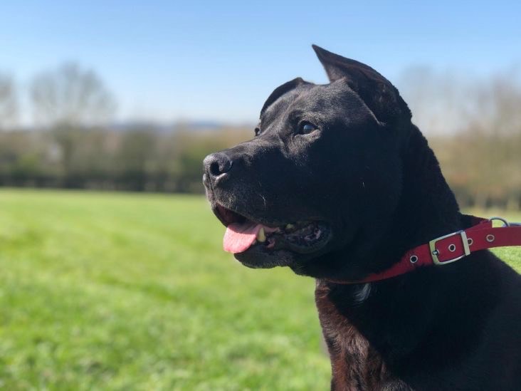 Amy Ockelford tweet media