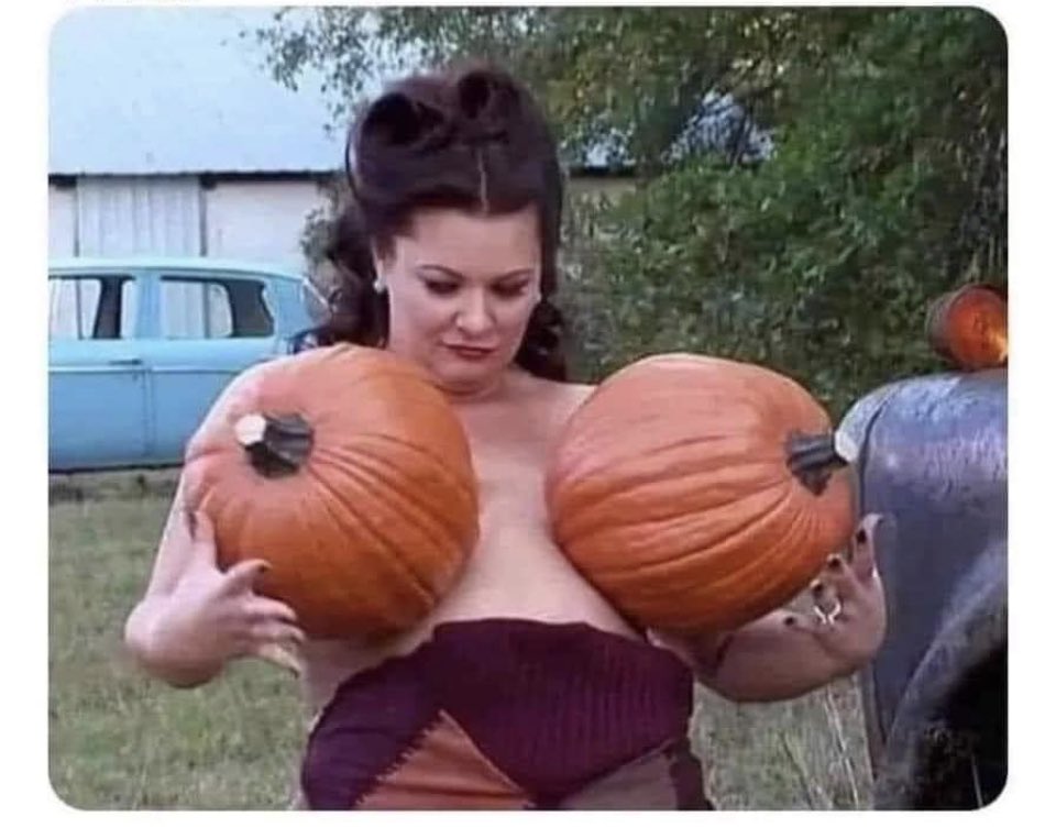 patti_pineapple's tweet photo. Fall is around the corner. 
How excited are you ?

Me: https://t.co/4QerSHqsff