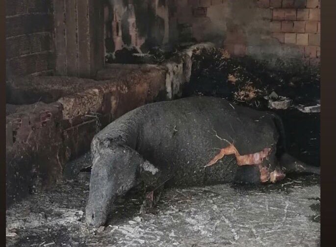 Bu nasıl bir tesadüftür!
…
Yakanlar ve yaktıranlar!
Yaktığınız her ağaç, her yaprak, her canlı için ayrı bir cehenneminiz olsun.
🤲😞🤲
#manavgatyanıyor
#Adana 
#marmaris 
#Mersin 
#Kozan 
#Osmaniye