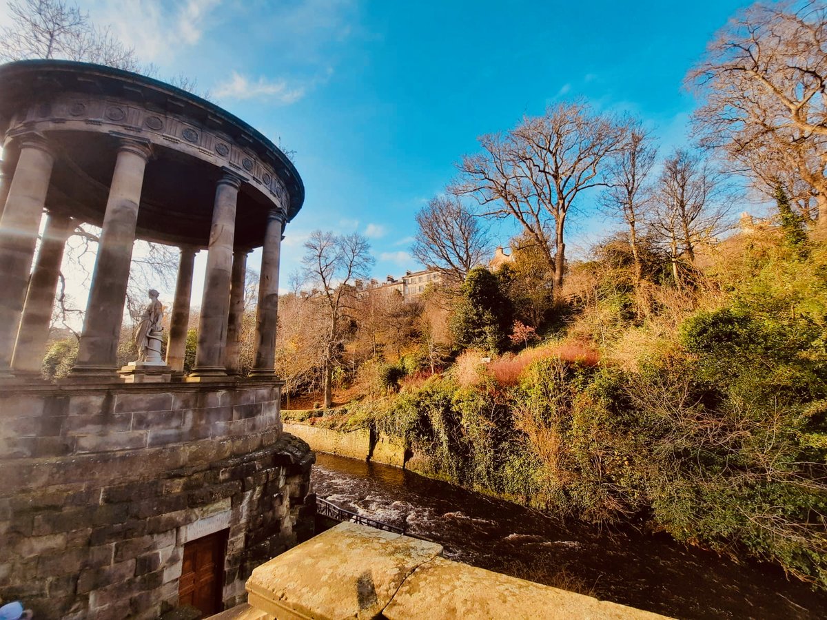 Sarah Liu @drsarahliu.bsky.social tweet media