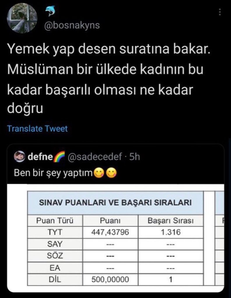 siz aptal da degilsiniz bambaska bir türsünüz..