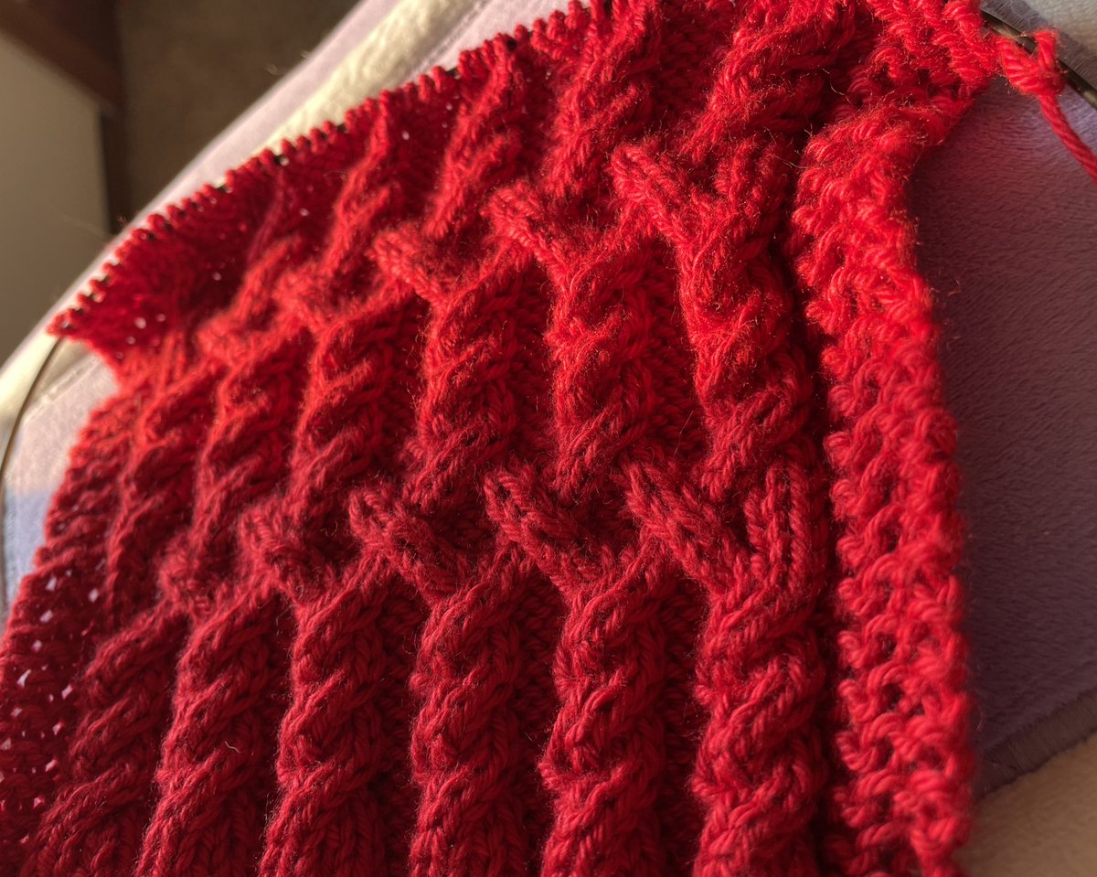 ProudOwlCrafts's tweet photo. An update on the #forgescarf for my mom! Itโs honestly been refreshing to knit just for the good of it. There are tons of other projects going on behind the scenes, more coming soon! #cableknitting #queercrafting #knitting https://t.co/hIjnvYtDlB