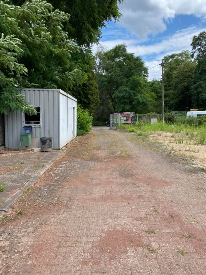 Dirk Ziegener tweet media