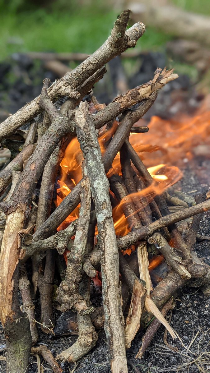 Great fun this morning getting 'Wild in the Woods' with some young Woodlanders @HolkhamEstate. Fire-building, Mayan Worry Dolls and the obligatory marshmallows enjoyed by all. #outdoored #bushcraft #Learning #engageandinspire #nature #wild