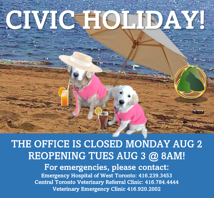 DrEllenKinzl's tweet photo. Just a reminder that we're closed on Monday for the long weekend. If you anticipate needing food or meds before Tuesday morning, PLEASE let us know today!
.
.
#veterinarian #torontovets #longweekend #cottageweekends #getoutoftown #animalhospital https://t.co/Dqd4wlOk29