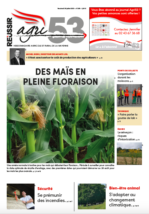 Agri_53's tweet photo. Au sommaire de votre Agri53 cette semaine 📬🗞️ :
- Surveiller la floraison du #maïs pour connaître la date optimale de #récolte
- Découvrez comment les #pointsdecollecte s'organisent durant les #moissons de blé
- Retrouvez des conseils pour se prémunir contre les incendies https://t.co/vobM83YpqA
