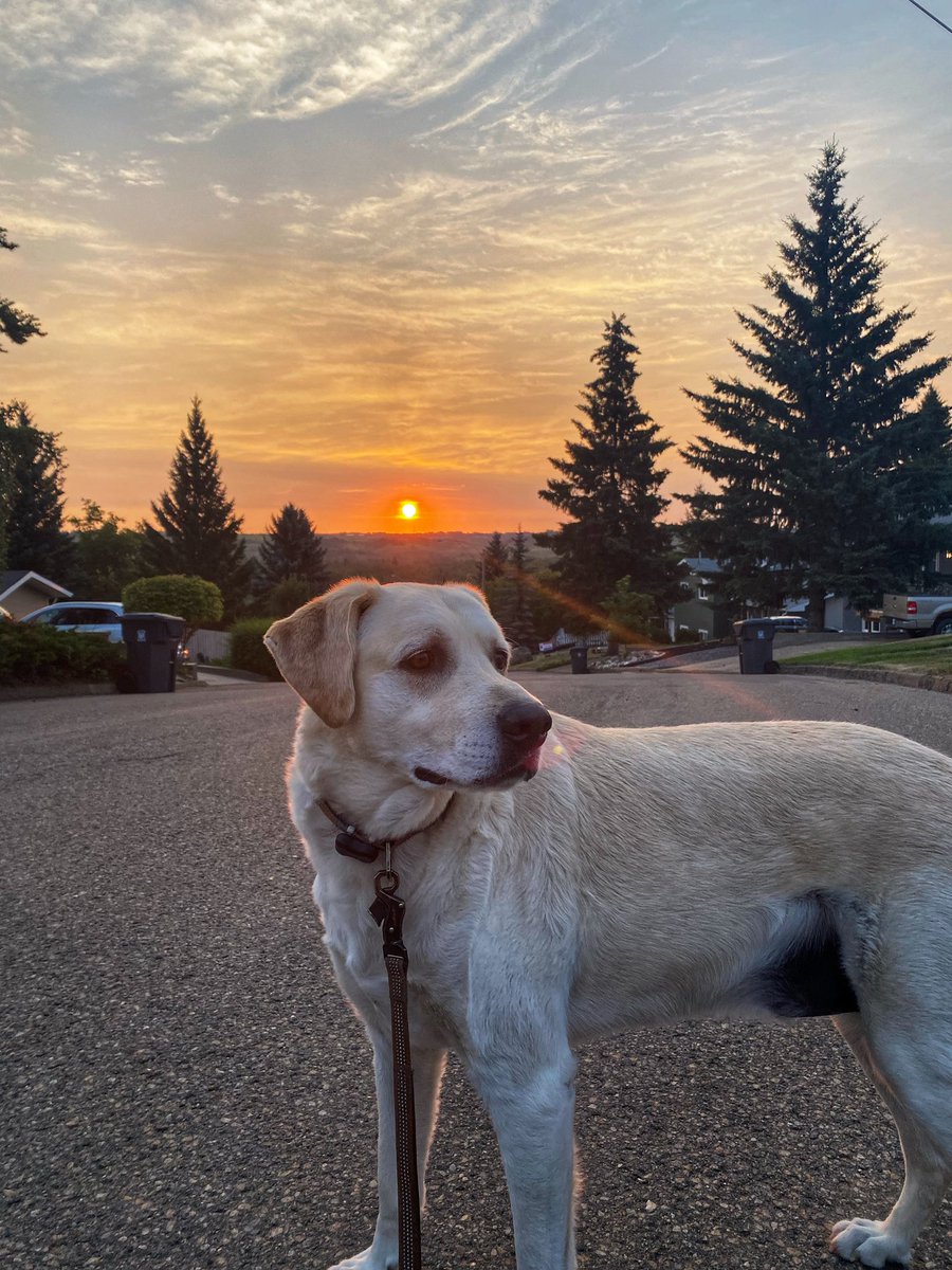haileydeyaegher's tweet photo. There are perks to being a morning person https://t.co/zXaZ6bIILj