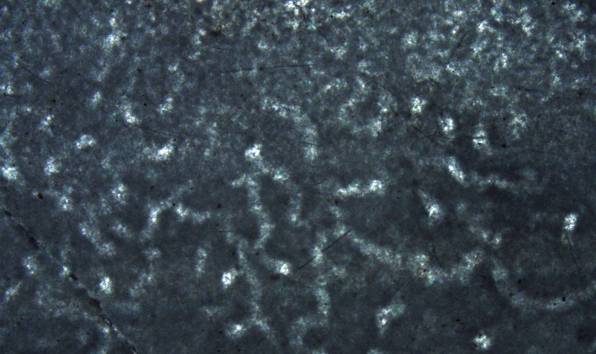 Bastien.Canal tweet media