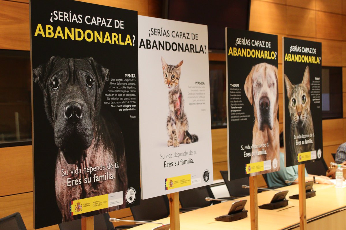 AnimalesGob's tweet photo. Hoy hemos presentado la campaña contra el abandono animal para este verano 2021, #SeríasCapazDeAbandonar, con las entidades del convenio PATRAC con las que trabajamos, codo con codo, para seguir avanzando en derechos y protección animal. https://t.co/EaAkucmOIO