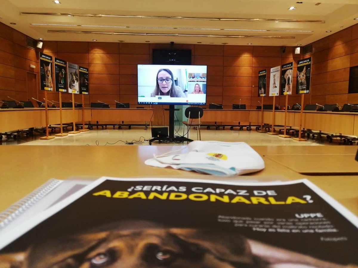 Hoy hemos presentado la campaña contra el abandono animal para este verano 2021, #SeríasCapazDeAbandonar, con las entidades del convenio PATRAC con las que trabajamos, codo con codo, para seguir avanzando en derechos y protección animal.