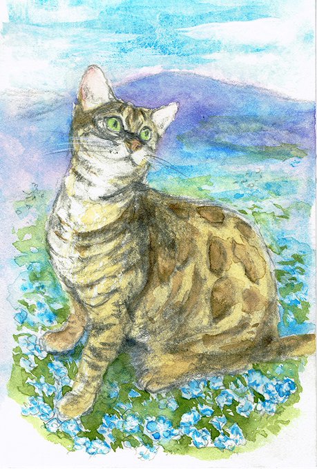 花と猫のtwitterイラスト検索結果