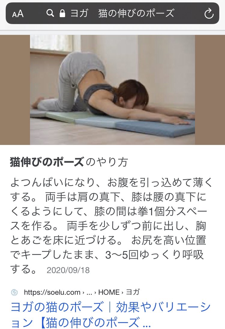 みいねこ Kappa Kptr これはヨガの猫伸びのポーズをしているところですね 肩こり 背中のこわばり解消 便秘解消はもちろん リンパが集中する脇の下や内臓がおさまる腹部を大きく伸ばすことで 老廃物を押し流すデトックス効果が得られリフレッシュでき