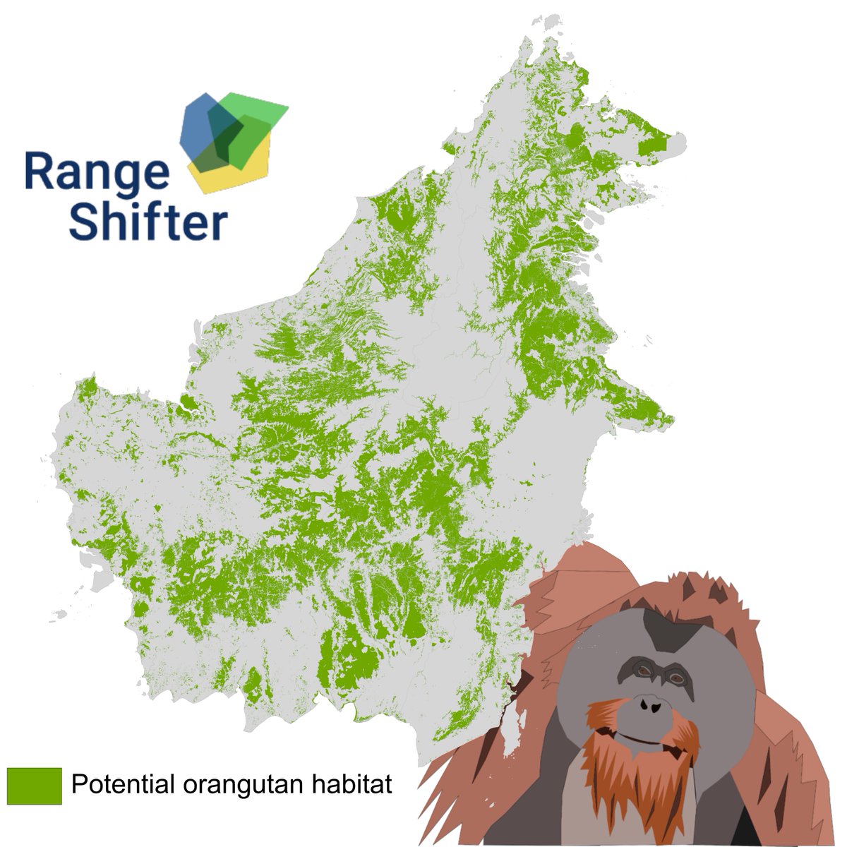DaveSeaman86's tweet photo. 5/6 We are now applying #RangeShifter across the entire Bornean 🦧 range, aiming to see how current levels of fragmentation and pressure from humans may affect 🦧 connectivity and population dynamics in the future
#DICECON21 #LandSea1 https://t.co/WwQwF2kZSC