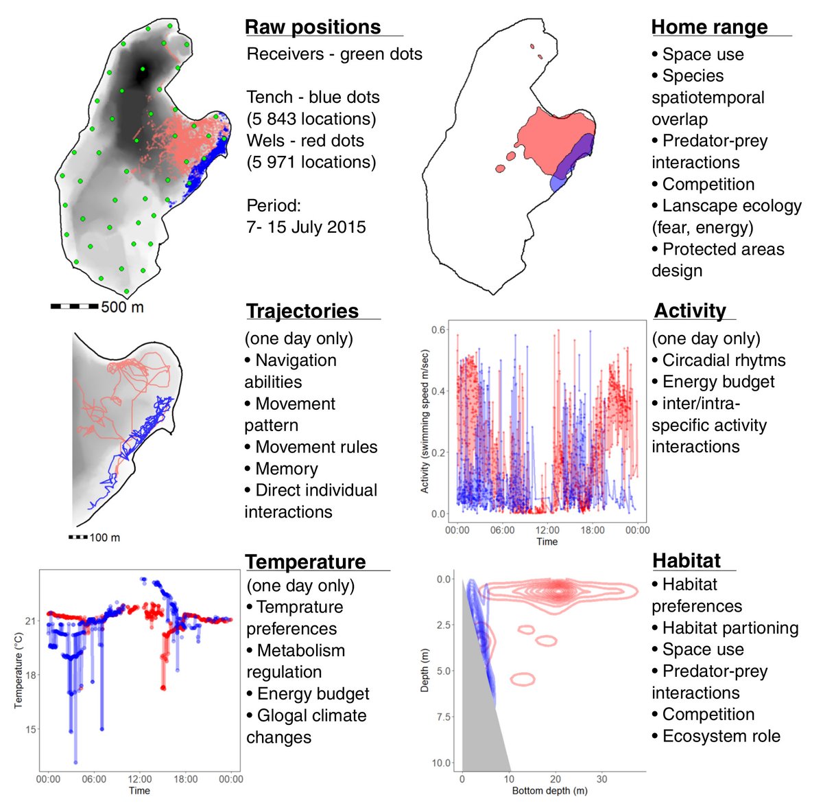 On the role of #lakes in revealing nature of #animalmovement through #telemetry - new paper & great effort by @FisheriesRobert and a large team of authors from the @FishTelGroup …ementecologyjournal.biomedcentral.com/articles/10.11… #animaltracking #fishtelemetry #fishsci #movementecology @Alternet_Europe