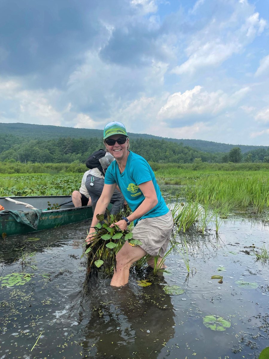 TNCvermont's tweet photo. Management of invasive species is an important piece in maintaining our natural areas. Our staff spent the day removing water chestnut. Thank you to staff and volunteers who commit themselves to paddling and pulling for days each summer!
#vtnature #vtsummer #invasiveremoval https://t.co/Mi2BX8hPVN