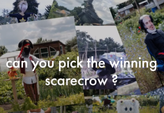 WellesAllot's tweet photo. We're LIVE STREAMING next Sun - check in to our facebook page from 1.55pm to follow the action. 2pm Opening Ceremony, followed by @Amicantus Choir, Children's Workshops, Allotment Trail, 3pm Stefan Buczacki Question Time, 4.50pm revealing the Winner of the Scarecrow Competition https://t.co/Fz7Tci3uZ4