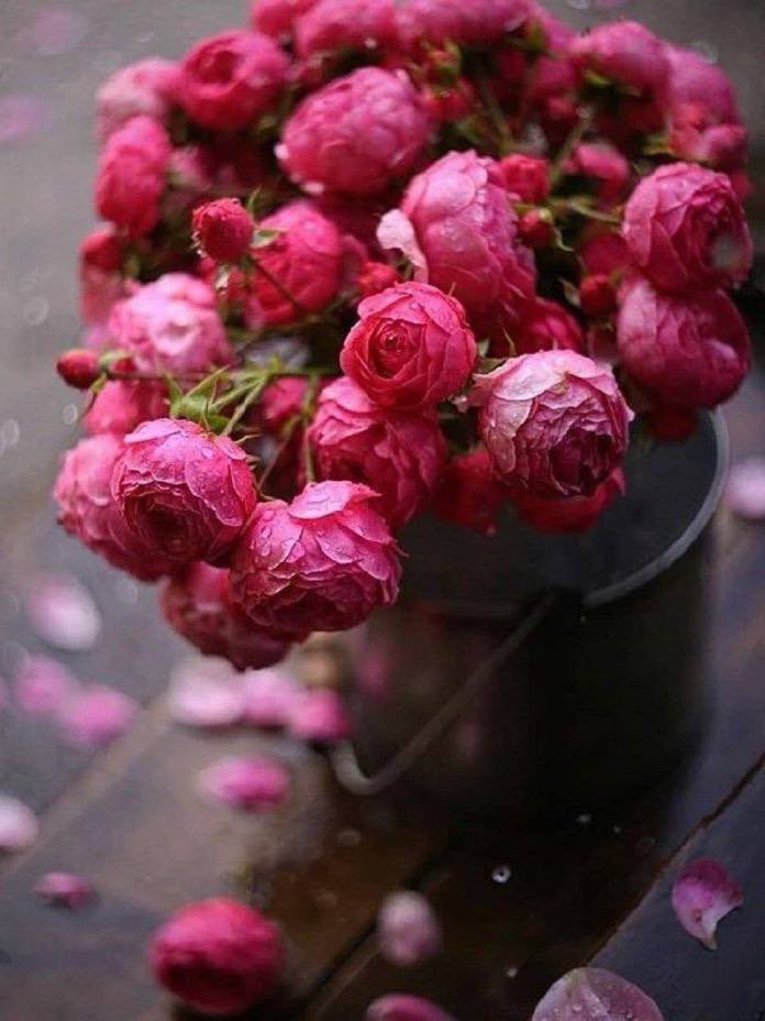 orj_q0's tweet photo. ماريدك
    عطر تشتمه كل الناس
        اريدك بس ألي
جن بصمه أبهامي❤️ https://t.co/Xu9dHnnsT3