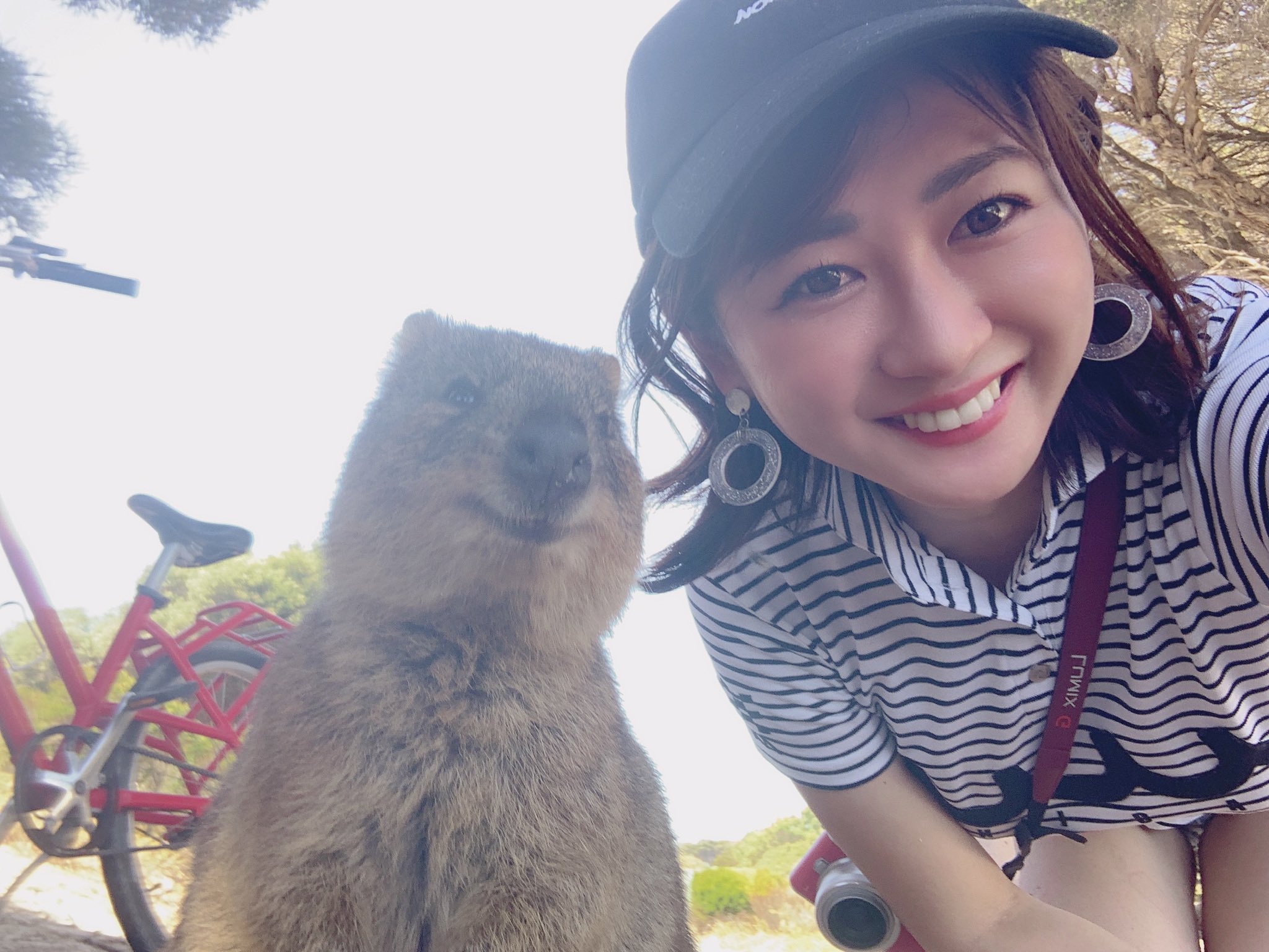 Twitter 上的 中村葵 クアッカワラビーちゃんとツーショット撮ったことある にこにこ T Co Nyubplrkwf Twitter
