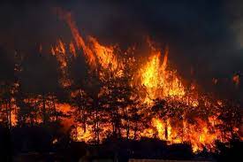 #ManavgatYanıyor...
Doğa yok oluyor... İnsanlar ölüyor... Hayvanlar ölüyor...

Bu yıkımın sorumlusu; doğal yaşam alanlarını sermayenin talanına açan; hız kesmeyen karbon salınımıyla küresel ısınmaya sebep olan; sanayi atıklarıyla denizleri öldüren; su kaynaklarını kurutan;