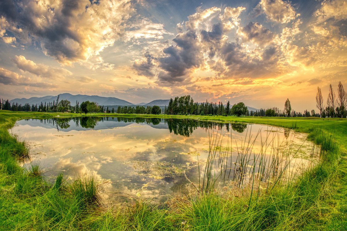FHSresort's tweet photo. “There's a sunrise and a sunset every single day, and they're absolutely free. Don't miss so many of them.” ~ Jo Walton
Last evening's sunset was hard to miss if you were staying at the resort. Did you see it?
Photo: @ChrisConwayca || #RiversideGolfCourse
#FHSRmemories https://t.co/TT105HdWyT