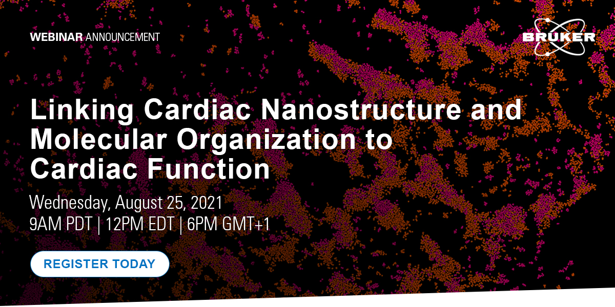 In our next #webinar, our guest presenters will introduce iCLEM, a novel method to correlate electron microscopy data with #superresolution SMLM data to study the nanostructural underpinnings of electrical signal propagation in the heart. More info: bit.ly/2VkxijT
