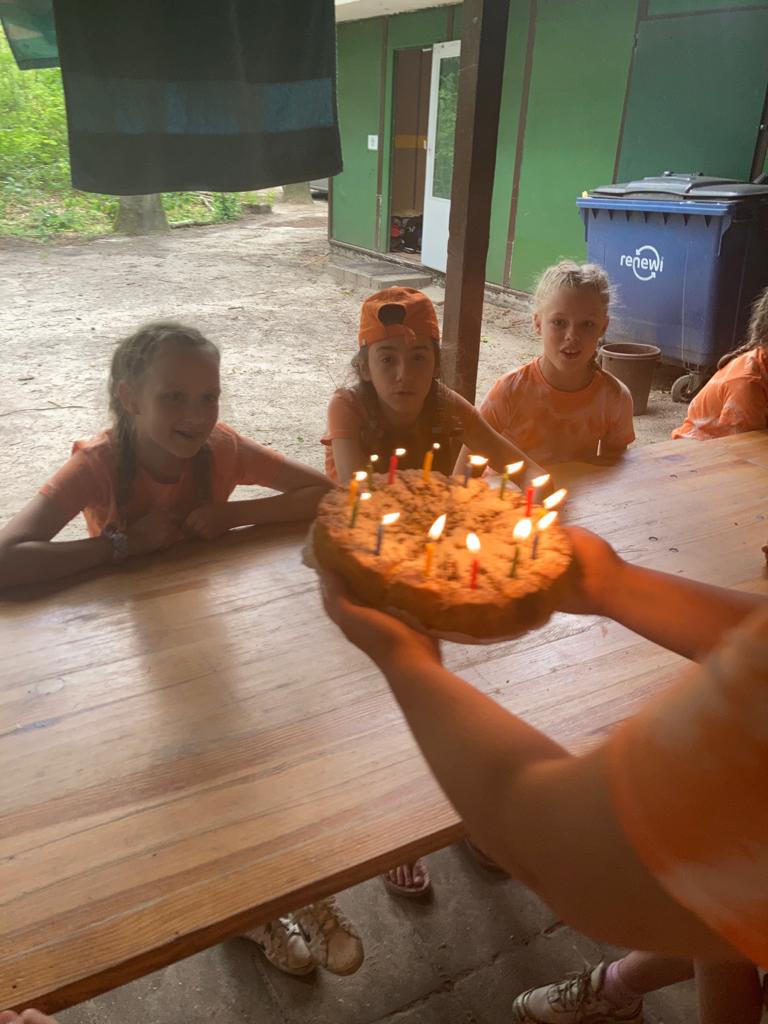 Kabouters tweet media