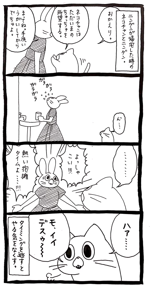 準備万端で抱擁しようとしても？猫には猫のタイミングがあるwww