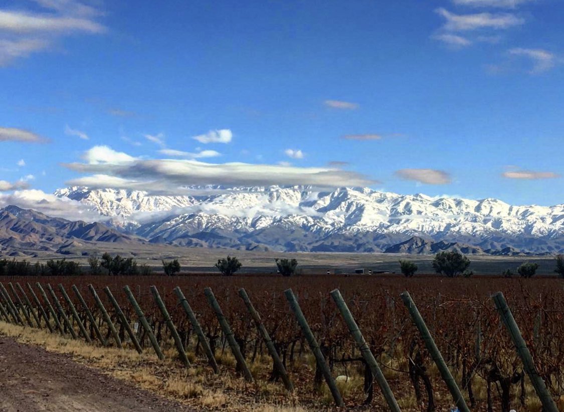 alevigilmalbec's tweet photo. Frasco para chamba #Mendoza #malbec https://t.co/SeT5nYEbh5