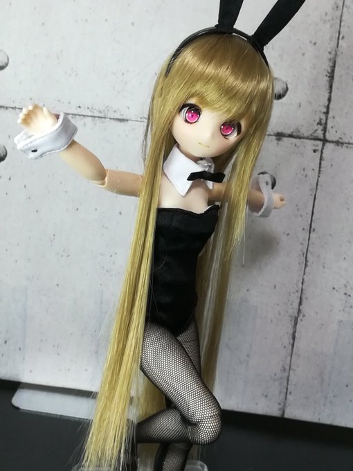 ãªãã24ã§çãã£ããªãšããã£ããã©ãã³ãããã¿ãª!!
ãã ãã¥ã¢ããŒã¢ãMããã¹ãã£ãœãã®ã§èžã®ãã«ãããã£ã§ã¯çãããªãã ããã
ã§ãæ¯èŒçå®ããŠååšæãããäœããããã£ãå®ãã®ã§è²ç§»ãã«ç¥çµå°ãããªããŠãããã®ãå¬ãã