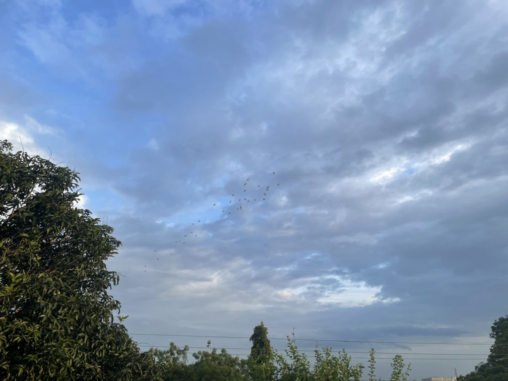 dstarrryknight's tweet photo. Pretty blue skies https://t.co/ljNq8lNv75